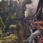 Victoria: Liburan Keluarga Seru & Tak Terlupakan!
