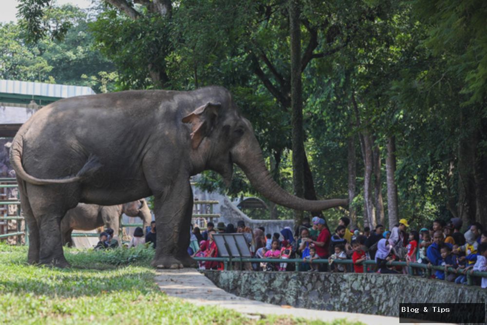 Rekomendasi Destinasi Wisata di Jakarta yang Menarik Dikunjungi saat Libur Sekolah