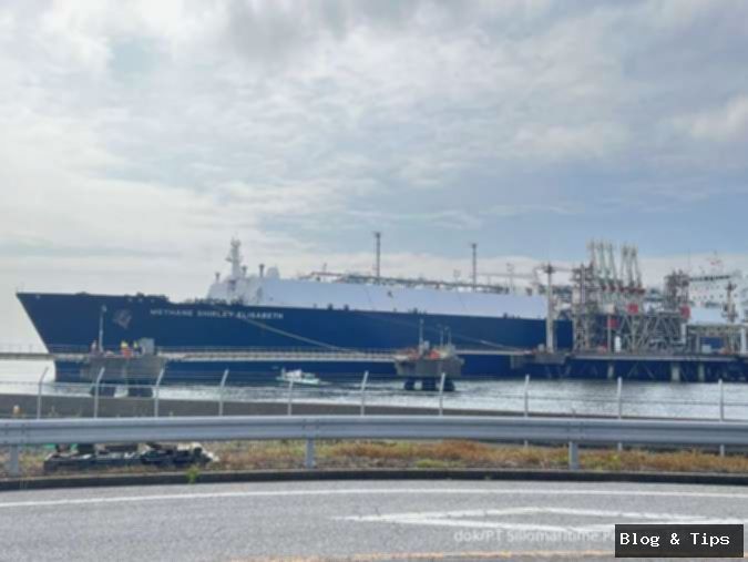 SHIP Bagi Dividen Jumbo! Jadwal Lengkap & Cara Mendapatkannya