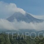 Merapi Membara: Pendaki Nekat Terobos Larangan, Apa Alasannya?