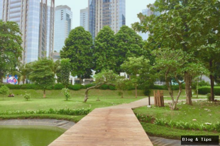 4 Aktivitas Wisata di Hutan Kota GBK, Bisa Piknik Gratis