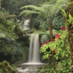 Purwokerto: 10 Tempat Wisata Hits yang Bikin Nagih!