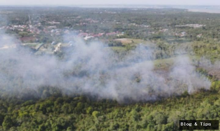 KLH Menang Gugatan, 4 Entitas Pembakar Lahan Wajib Ganti Rugi Rp 721 Miliar