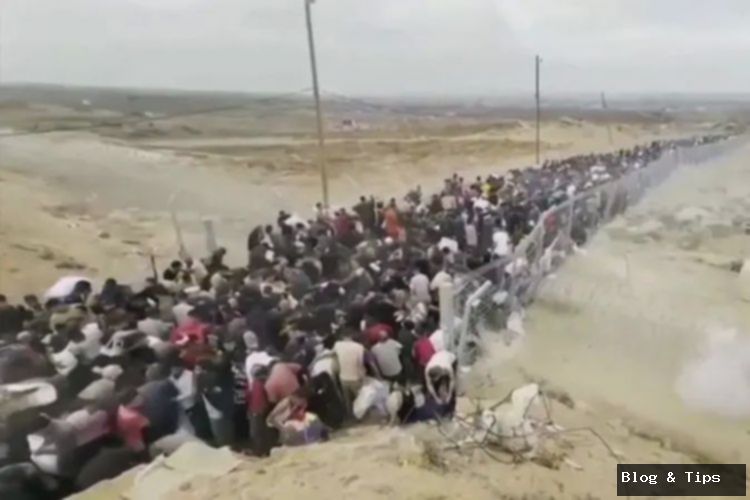 Kesaksian Pekerja Distribusi Bantuan Gaza: Tembak Saja, Tanya Belakangan