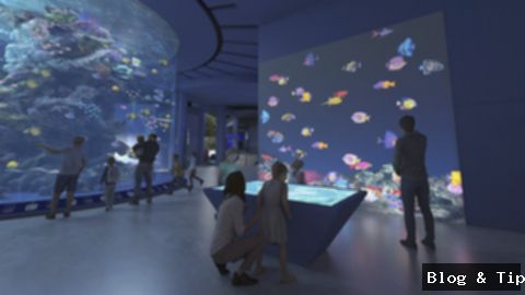 Oceanarium Singapura Dibuka! Jelajahi Keajaiban Biota Laut, Siap Takjub?