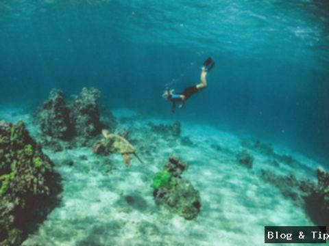 5 Surga Snorkeling Bali: Pemandangan Bawah Laut Memukau!
