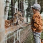 7 Wisata Ramah Anak di Bali yang Seru dan Edukatif