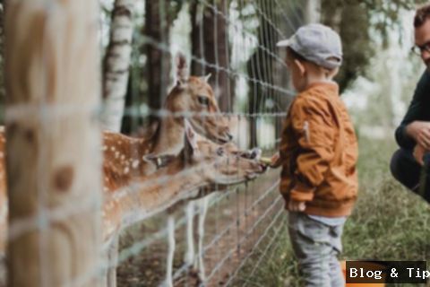 7 Wisata Ramah Anak di Bali yang Seru dan Edukatif